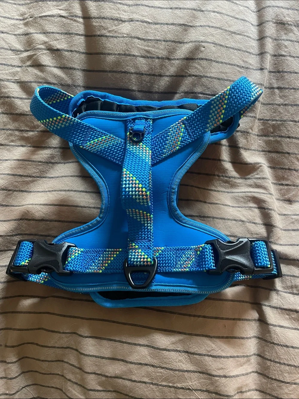 Arcadia Trail Blue Padded No-Pull Dog Harness